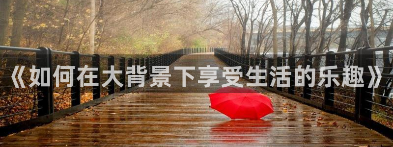 恩佐娱乐
