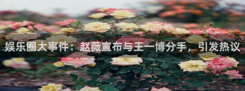 恩佐娱乐