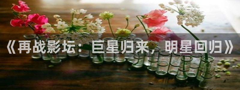 恩佐娱乐