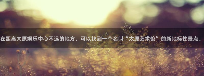 恩佐娱乐