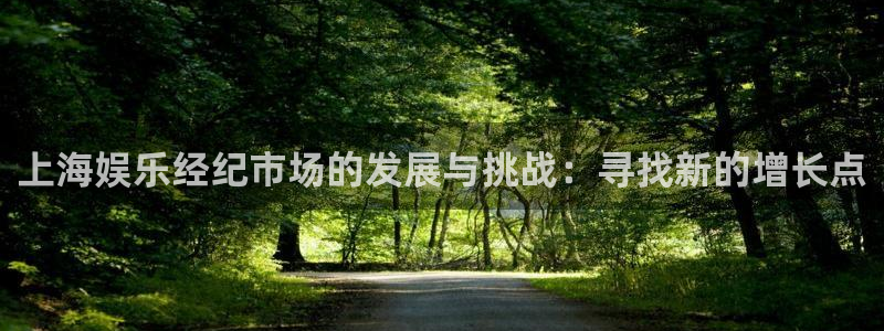 恩佐娱乐