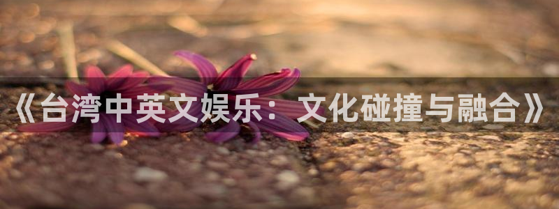 恩佐娱乐