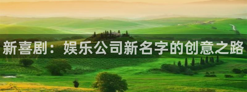 恩佐娱乐