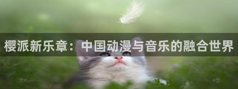 恩佐娱乐