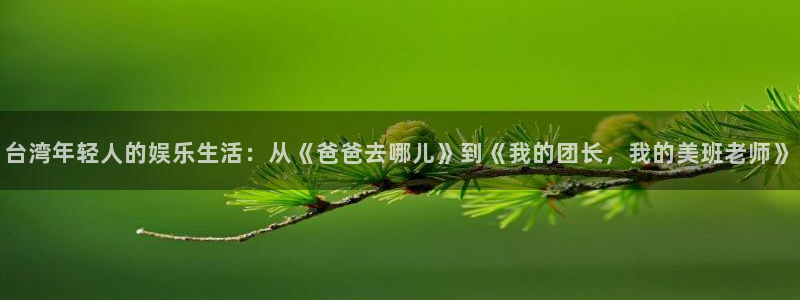 恩佐娱乐