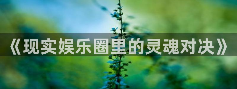 恩佐娱乐