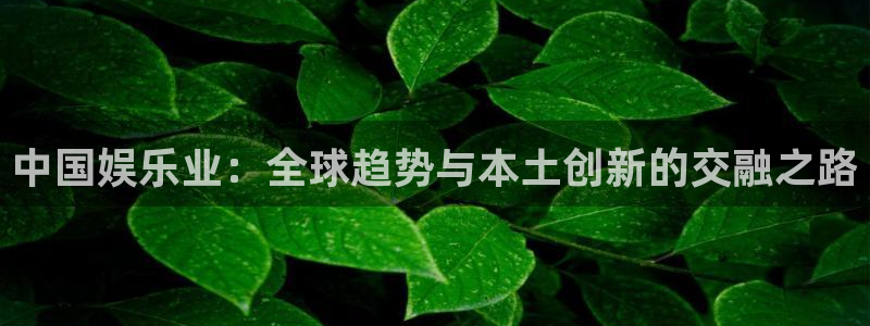 恩佐娱乐