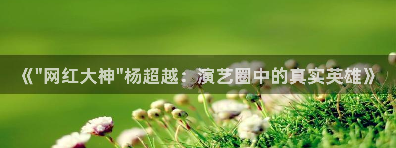 恩佐娱乐