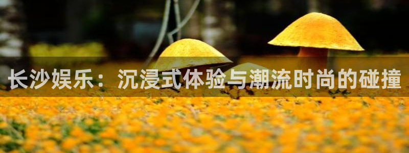 恩佐娱乐