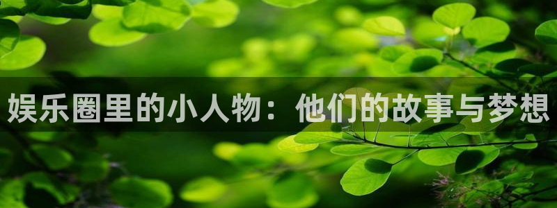 恩佐娱乐