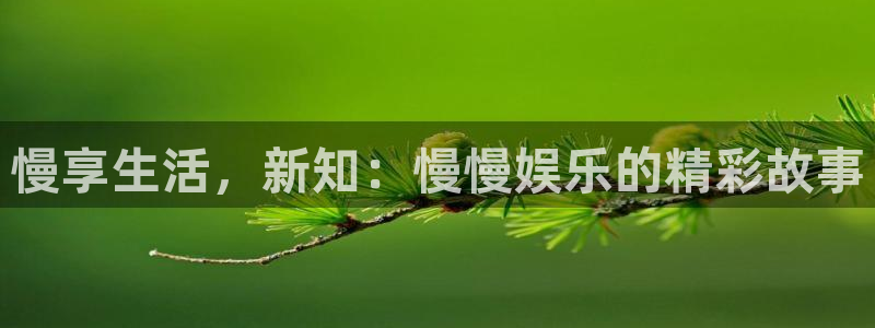 恩佐娱乐