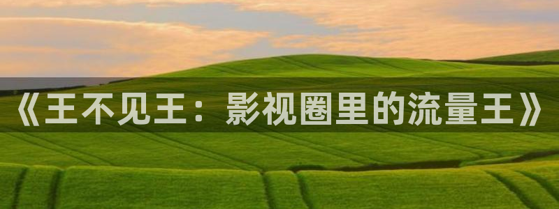 恩佐娱乐