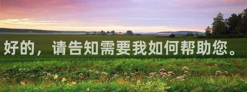 恩佐娱乐